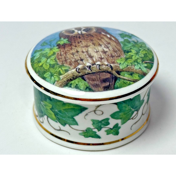 Fine Bone China Owl & Ivy Trinket Pill Box Objets D'Art Made in England Bird - Picture 2 of 5